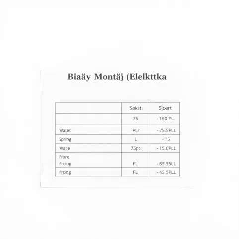 Biały Montaż Elektryka Cennik